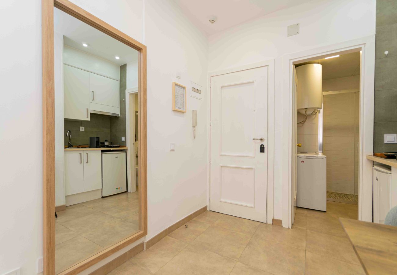 Studio in Madrid - Deluxe II -Ferga Suites