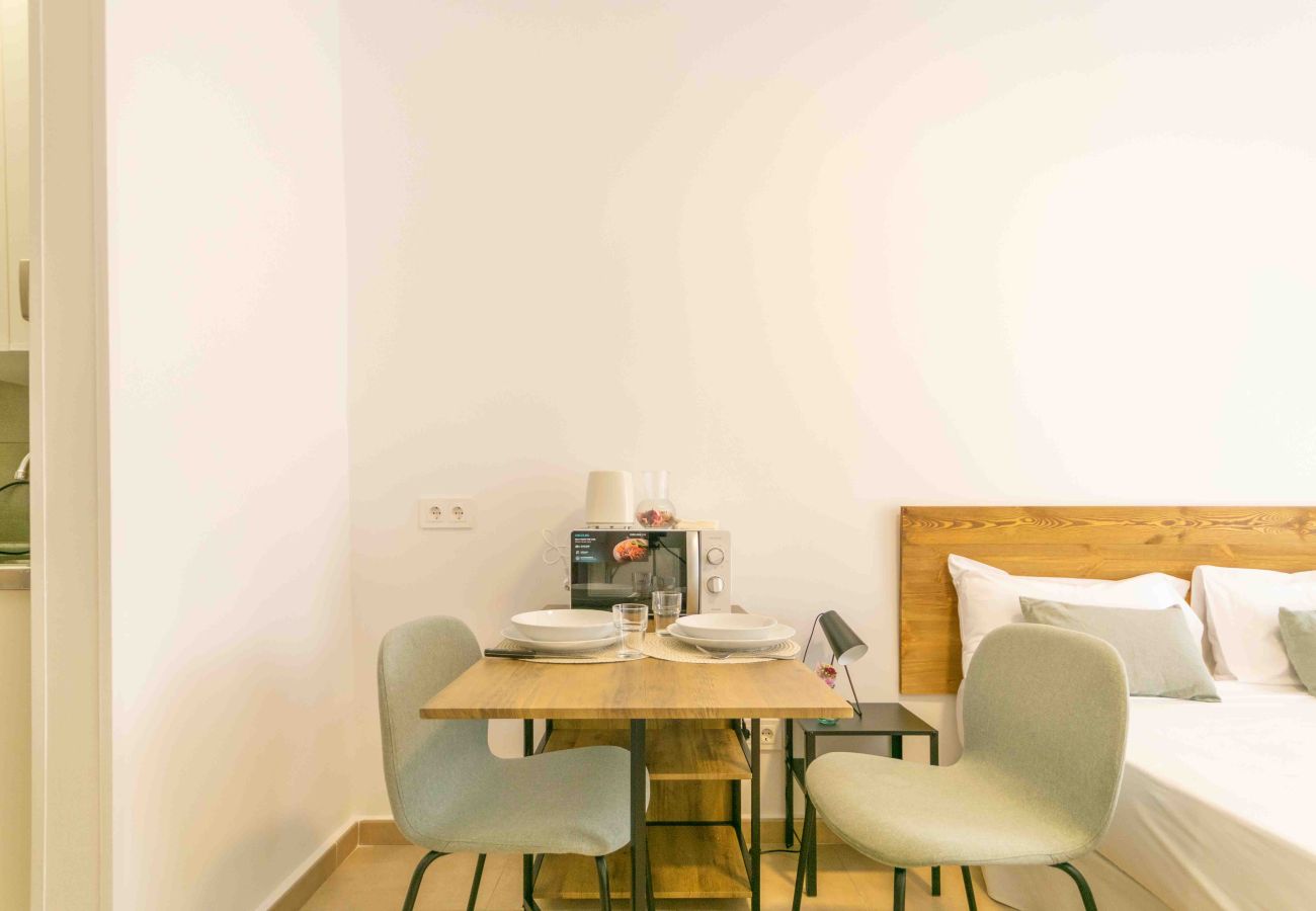 Studio in Madrid - Deluxe XII - Ferga Suites