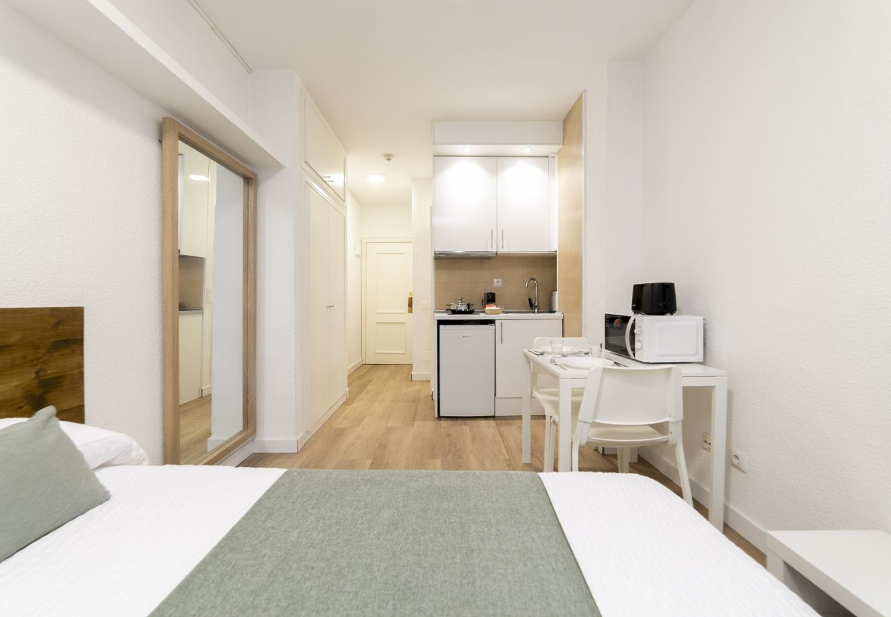 Studio a Madrid - Luxury XV - Ferga Suites