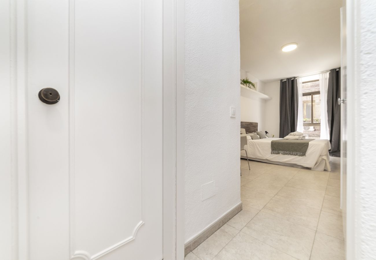 Studio a Madrid - Classy IV - Ferga Suites