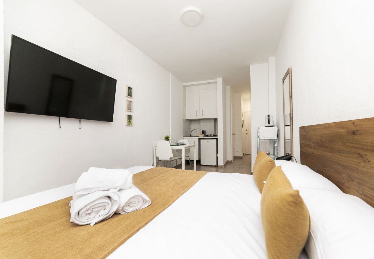 Studio a Madrid - Classy VIII - Ferga Suites