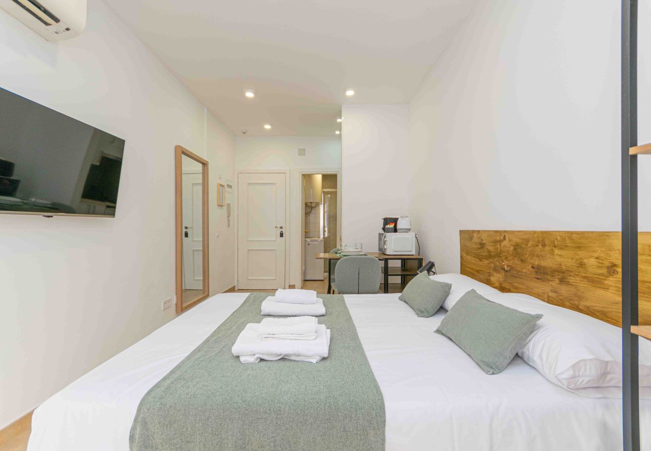 Studio a Madrid - Deluxe II -Ferga Suites