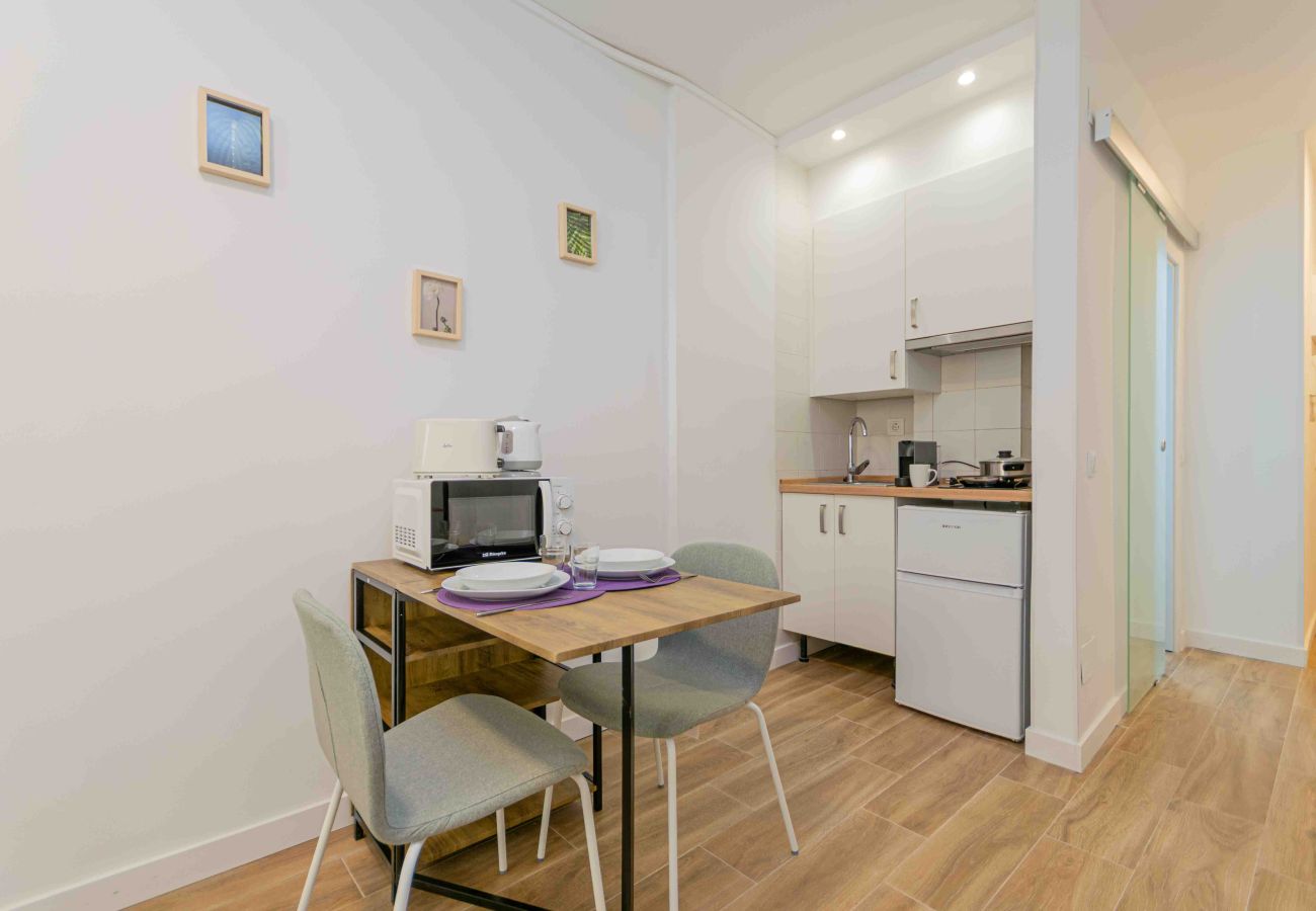 Studio a Madrid - Classy XVIII - Ferga Suites