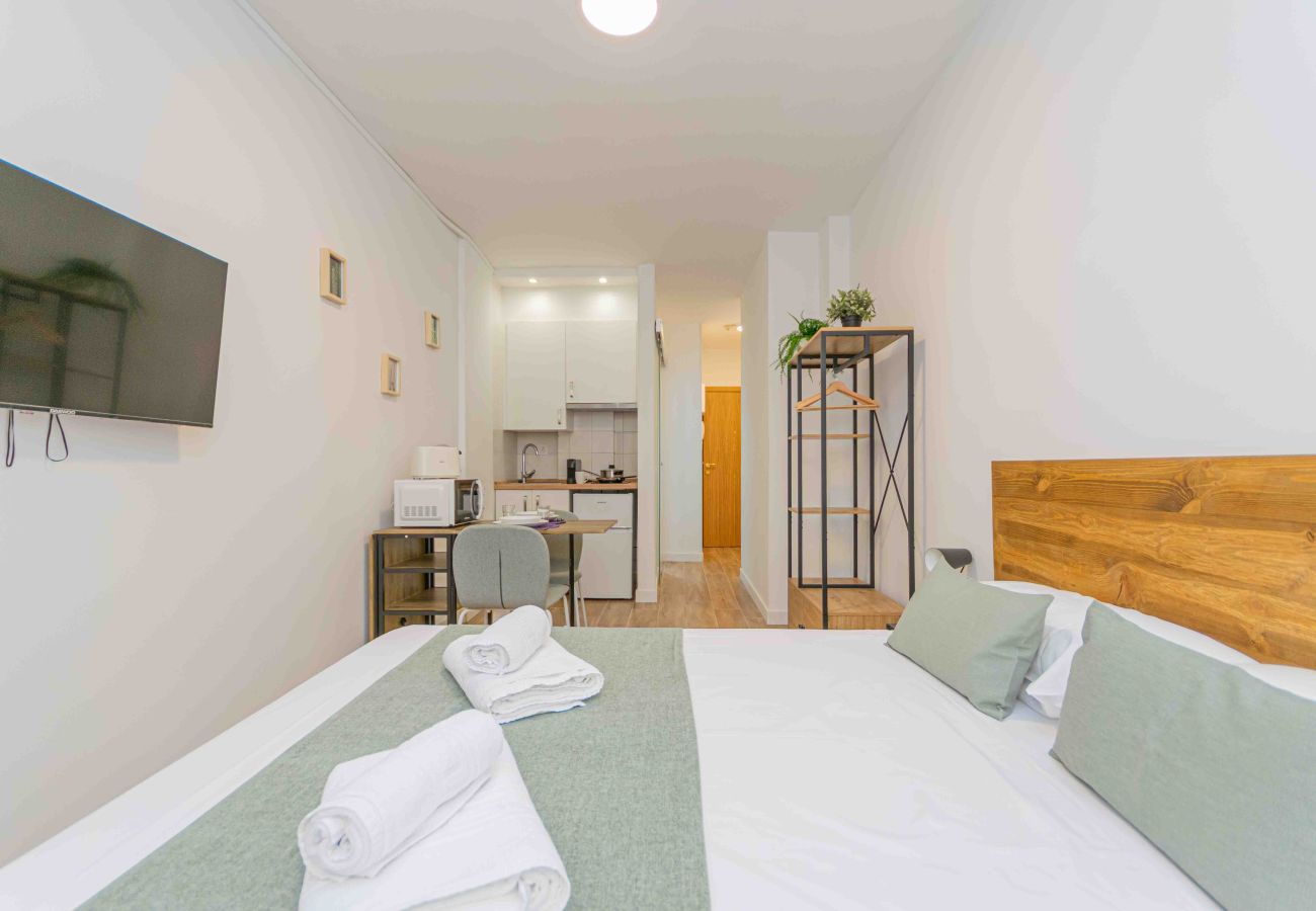 Studio a Madrid - Classy XVIII - Ferga Suites