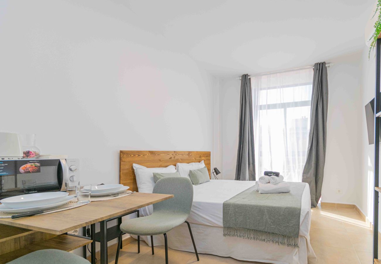 Studio a Madrid - Deluxe XII - Ferga Suites